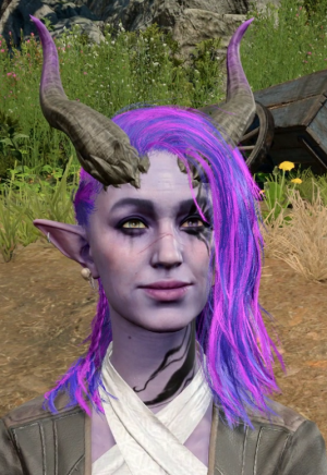 Hush in Baldur's Gate 3